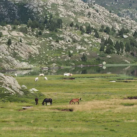 Mini-hôtel Refuge Des étangs De Bassiès Auzat