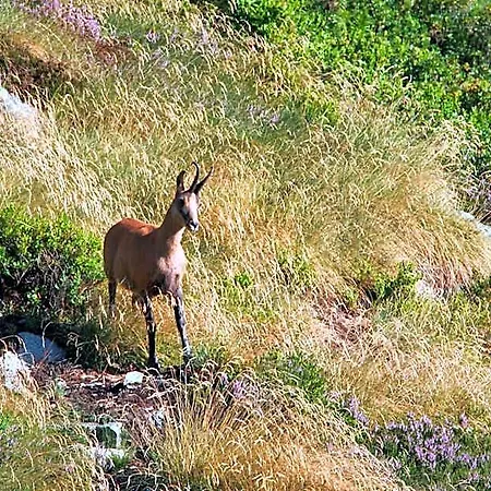 Refuge Des Etangs De Bassies * Auzat