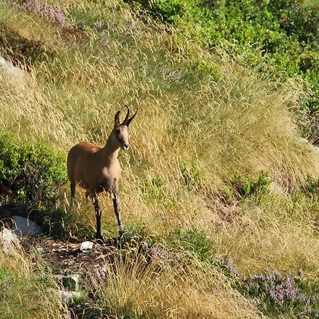Mini-hôtel Refuge Des étangs De Bassiès